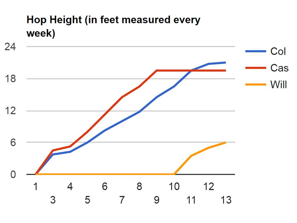 Hop Height 2015