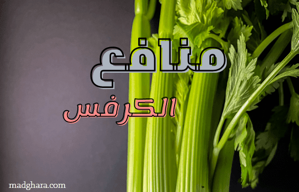 منافع الكرفس