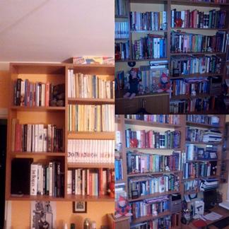 Nie ma czegoś takiego jak za dużo książek :)