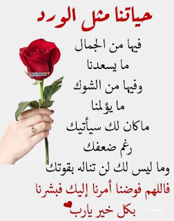 صور جميلة, صور جميلة للفيس بوك, صور فيسبوك, صور