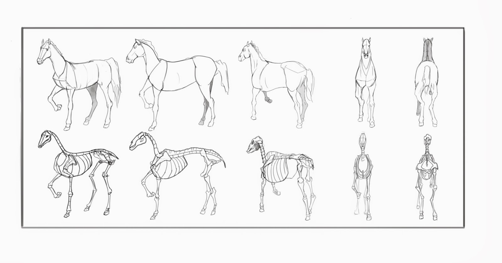 Animal Study Horse 5 Figure Turn Around