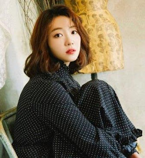 Biodata Ahn Ji Hyun Lengkap Nama Pacar dan Agama