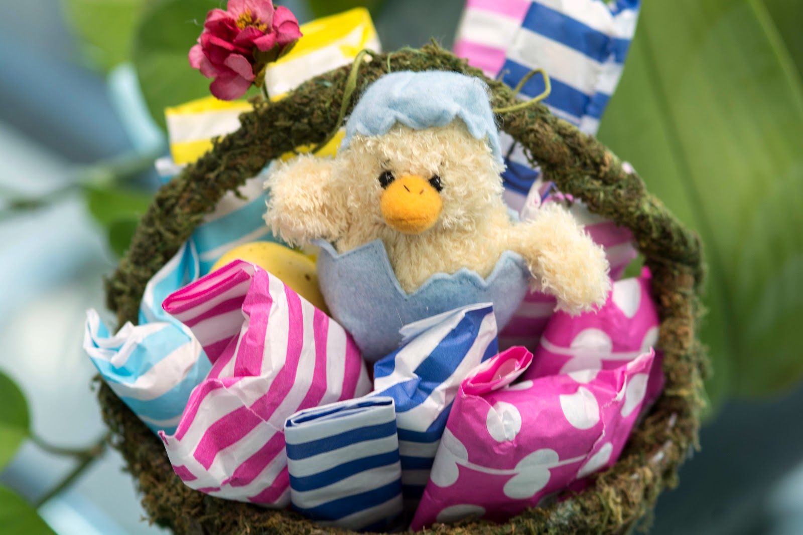 The Knitting Blog by Mr. Puffy the Dog Land of Sweets Cowl and Yarn Advent Calendars