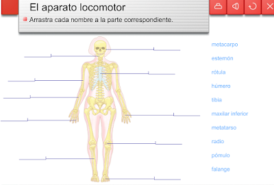 http://www.editorialteide.es/elearning/Primaria.asp?IdJuego=771&IdTipoJuego=2