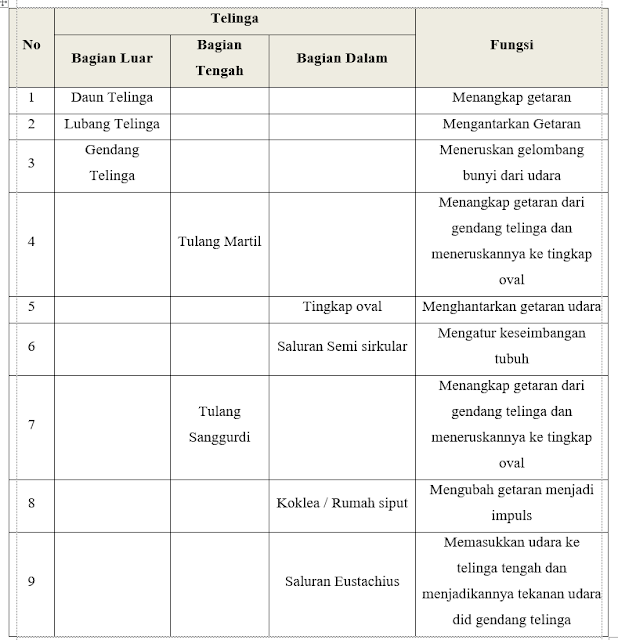 Koklea fungsi Apa itu