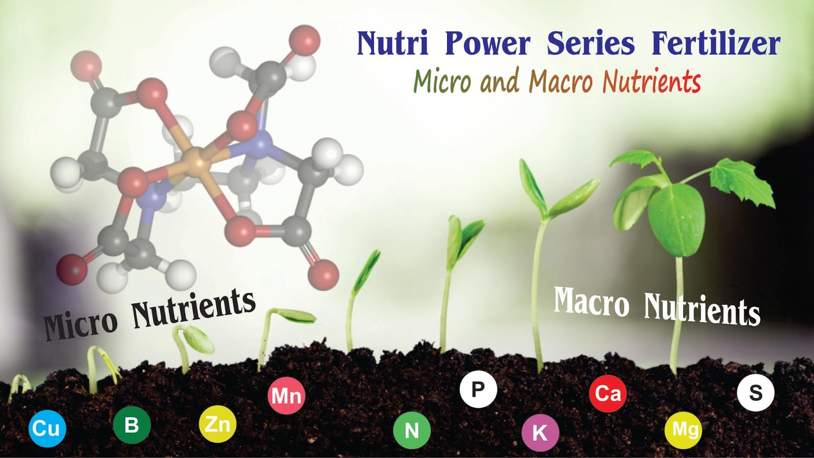 define macro nutrients define macro nutrients
