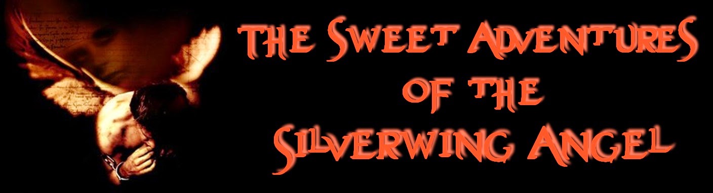 The Sweet Adventures of the Silverwing Angel