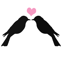 l'amour est comme vol gratuit d'un oiseaux ♥