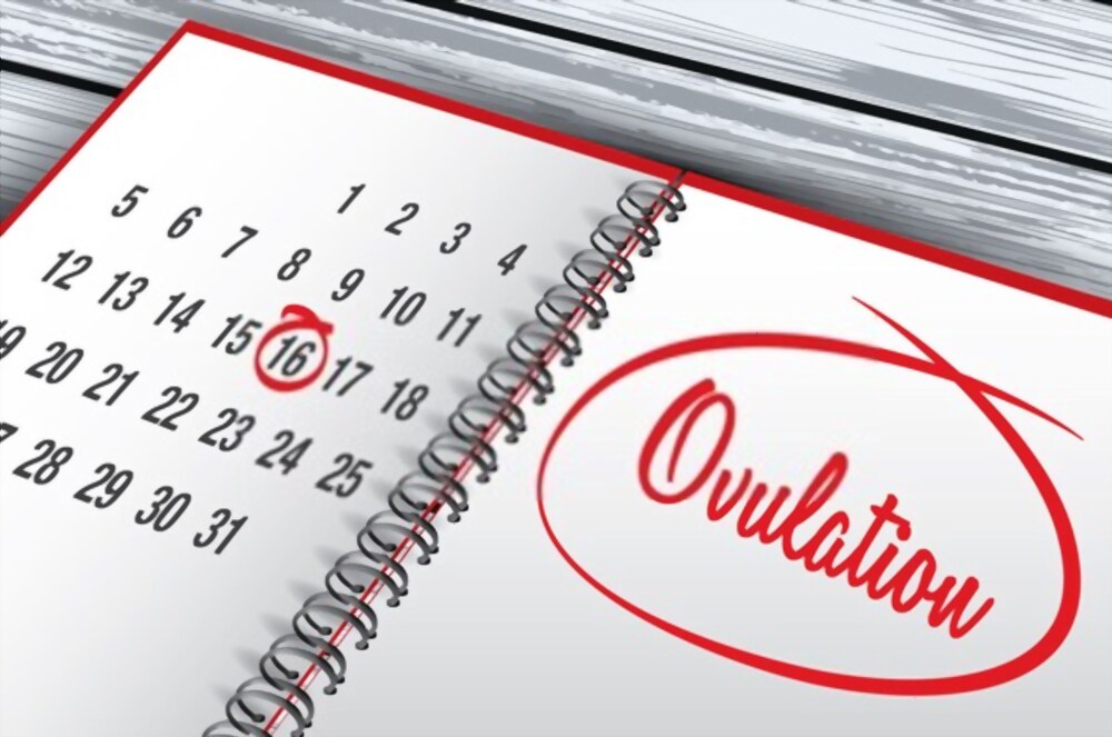 How Does Birth Control Impact Ovulation And Conception?