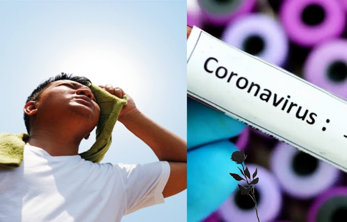 What is the difference between the symptoms of a fever and the symptoms of a corona virus? Learn and avoid trouble