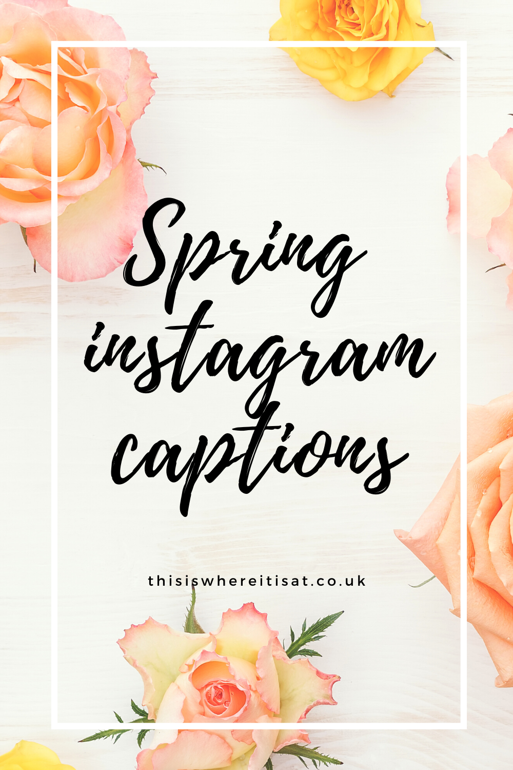 spring instagram captions. THIS IS WHERE IT IS AT