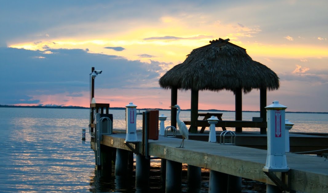 Budget Car Rental Key Largo Florida Keys and Everglades Budget Car Rental Key Largo Florida Keys and Everglades