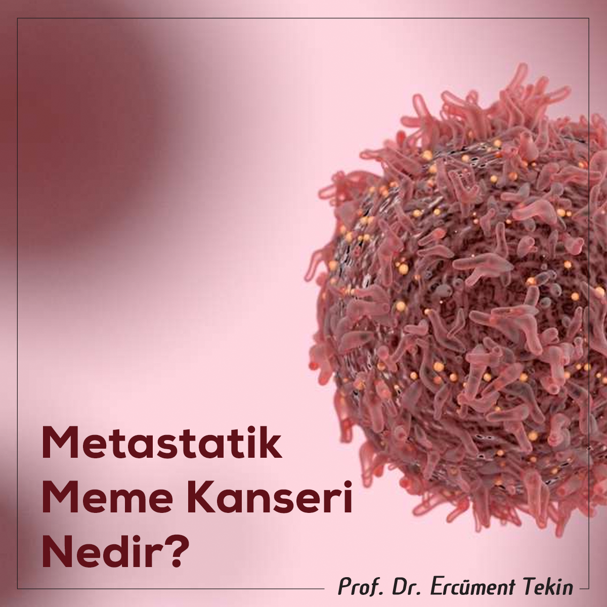 Metastatik Meme Kanseri