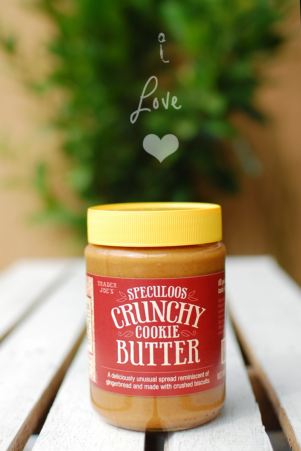 REVIEW Trader Joe's Speculoos Crunchy Cookie Butter Spread