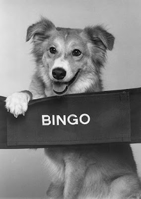 Bingo 1991 Movie Image 2