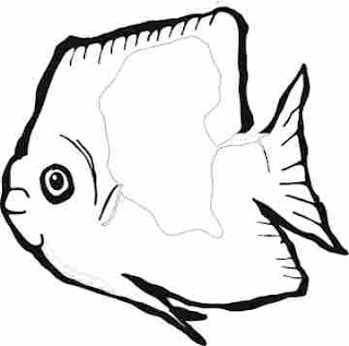 fish coloring pages, animal coloring pages