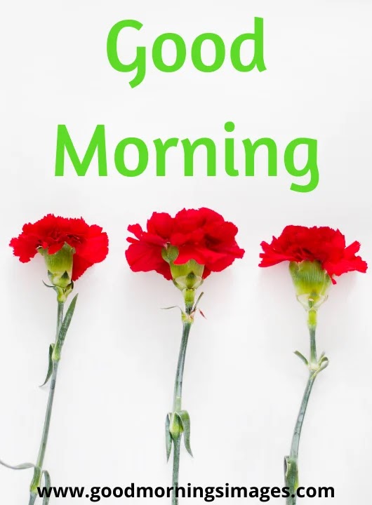 Images for a good morning Images for a good morning