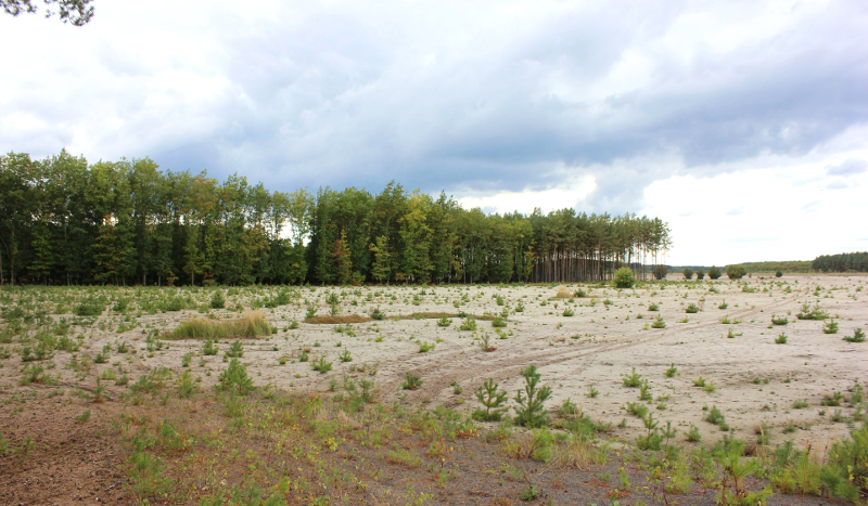 Auf Und Davon Lausitzer Seenland Citylights Bonn