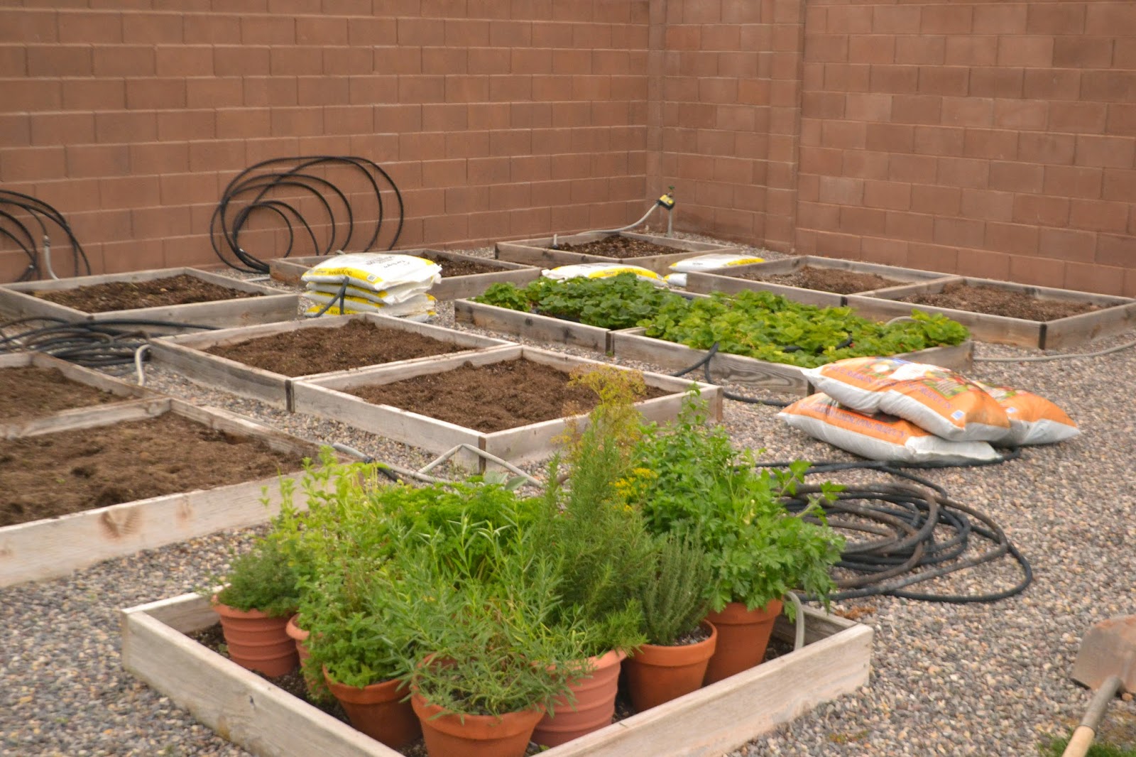 7kidsathome: Winterizing the Garden