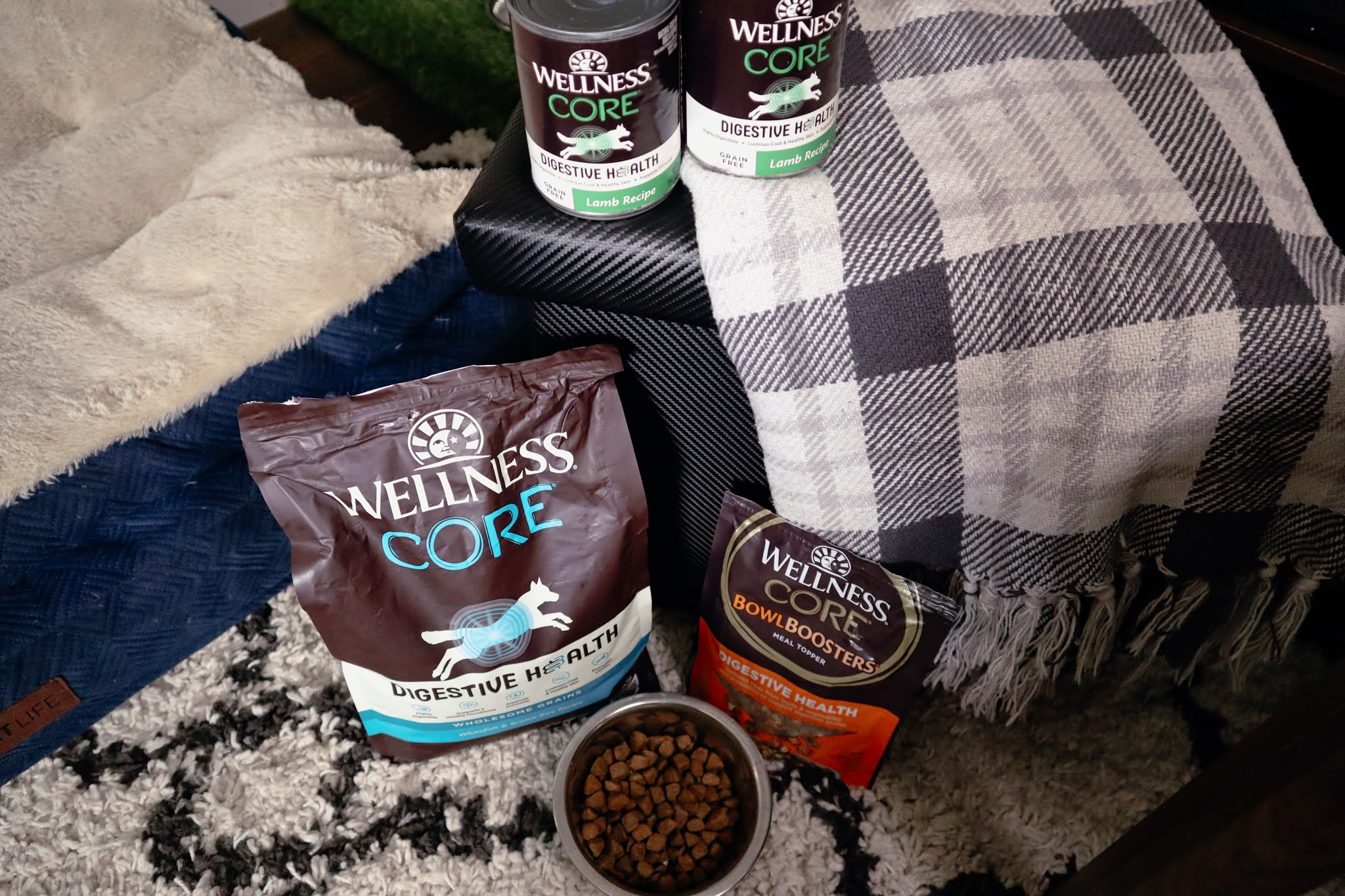 Best Dog Food For Digestive Health Being