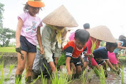 Bupati Magelang Ajak Kaum Muda Kembalikan Kejayaan Agraris