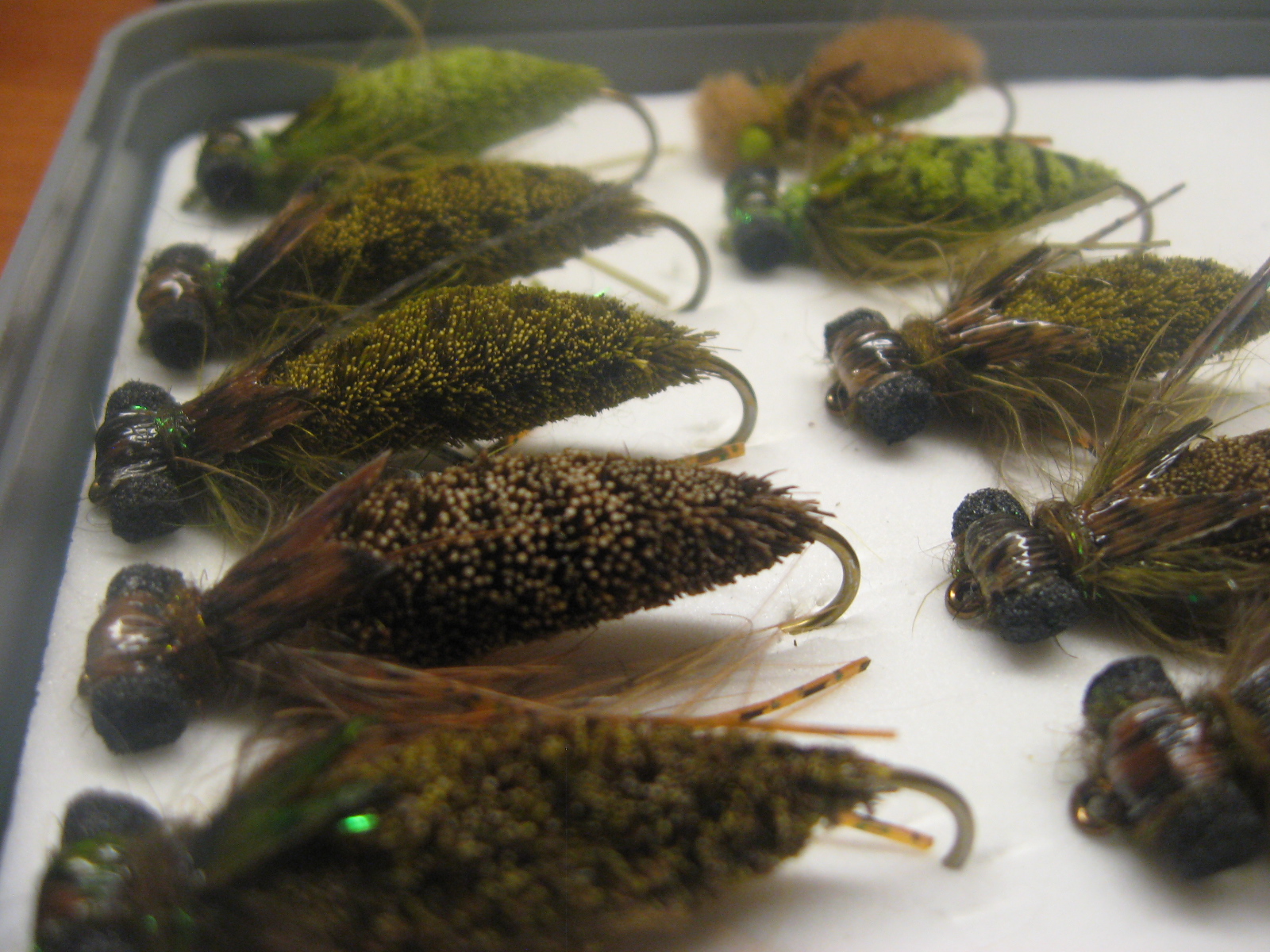 The Western Flyfisher Dragon fly Nymphs