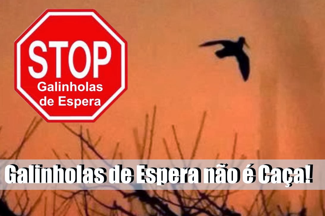 STOP ESPERAS