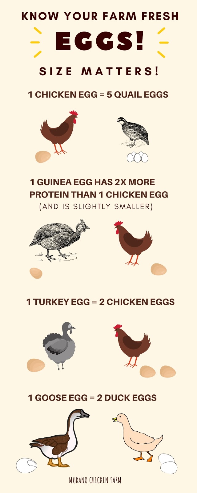 Comparing different types of eggs Murano Chicken Farm