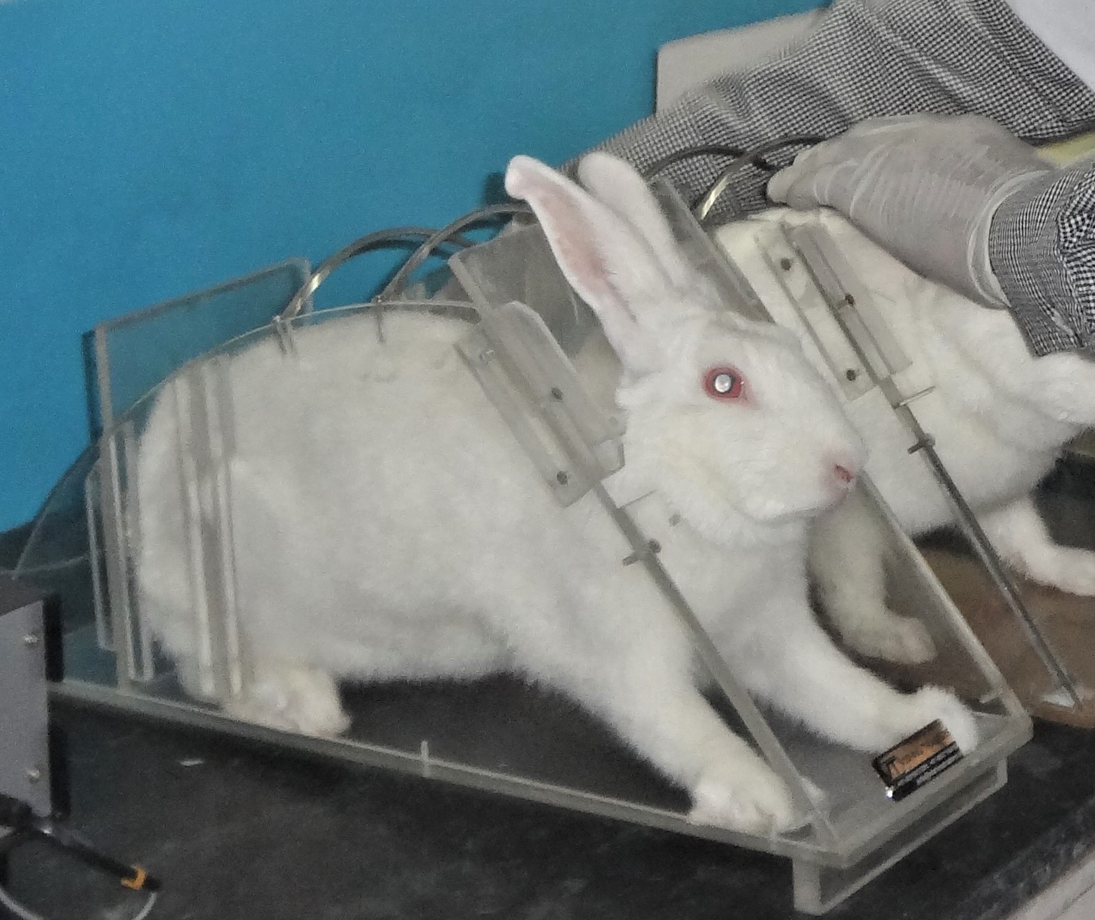 STANDARD OPERATING PROCEDURE FOR CONDUCTING PYROGEN TESTING IN