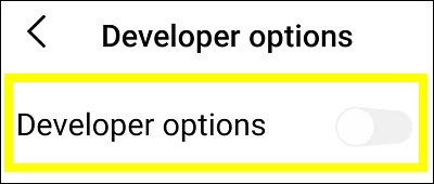 Developer Option Setting VIVO Z1 Pro Mobile