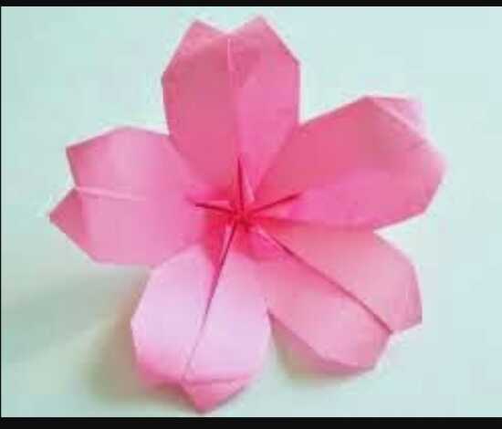Cara Membuat Origami Bunga Sakura Dengan Mudah Beserta Gambarnya - Dr