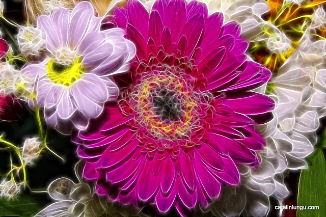 colorful bouquet - fractal flowers