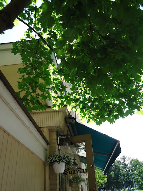 DSC02206.JPG