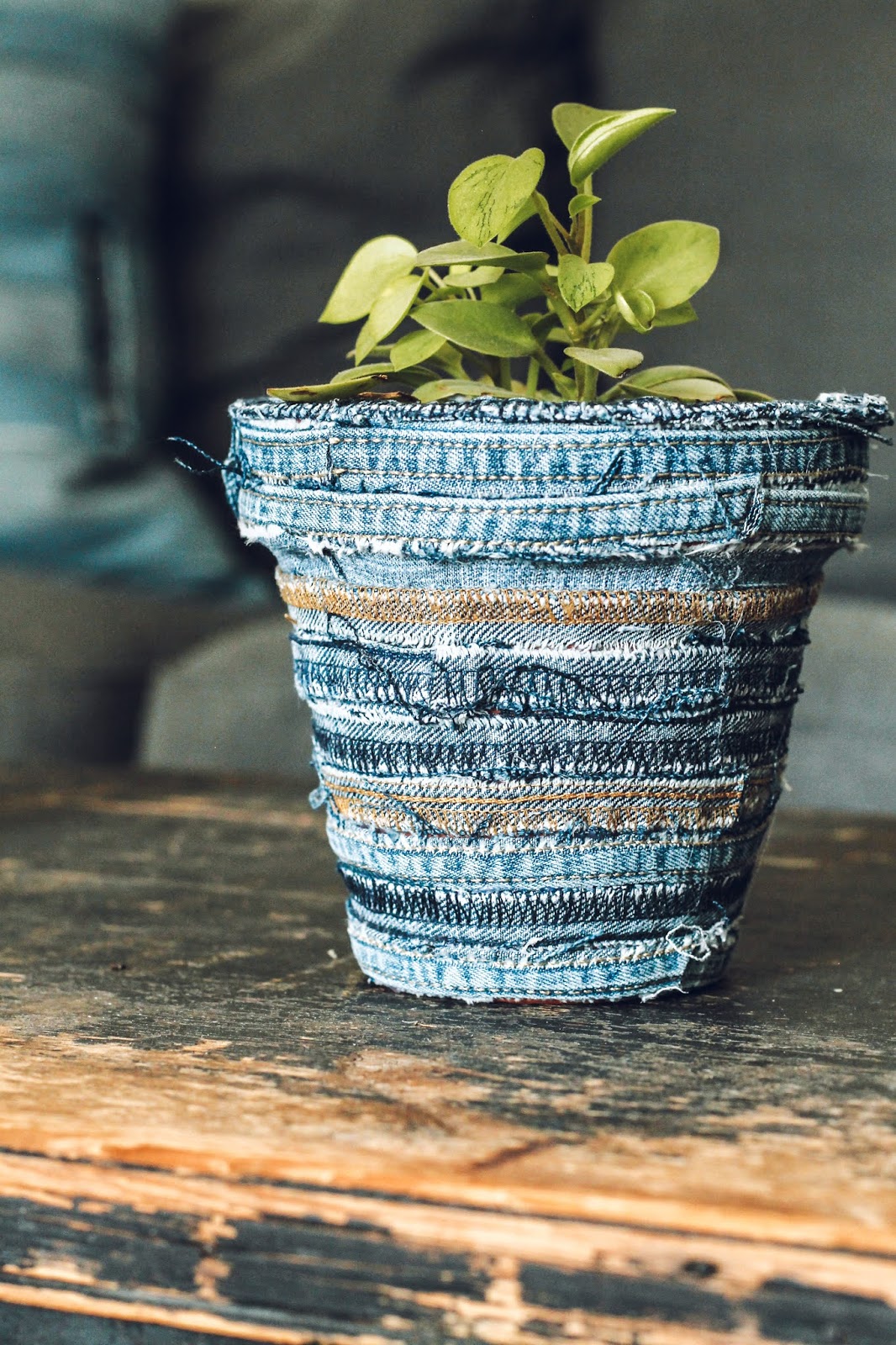 Free  & Easy DIY Denim Flower Pot