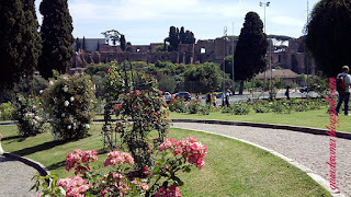 roseto prefeitura guia de roma - Roseto da prefeitura de Roma