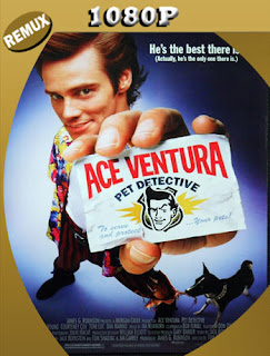 Ace Ventura (1994) BDREMUX [1080p] Latino [Google Drive] Panchirulo