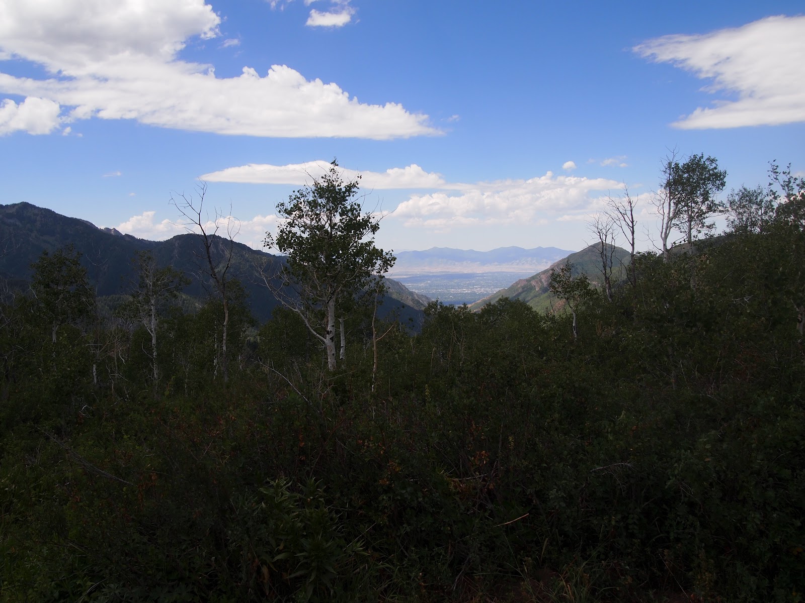 Lesa's Blog (alias The Mom) Lambs Canyon Trail