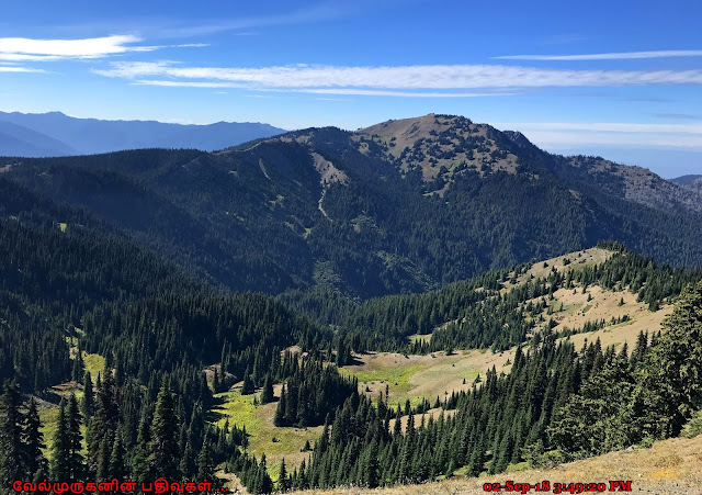 Hurricane Ridge Rocky Peak