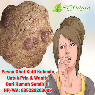 Obat Kutil Kelamin