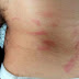 Marido joga fezes de cachorro em mulher durante agressão dentro de casa