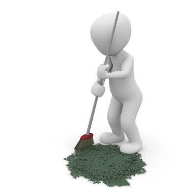 Importance of cleanliness in our surroundings Importance of cleanliness in our surroundings