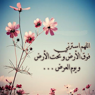8ad8aeb21ab961f0210d6c73d9061613