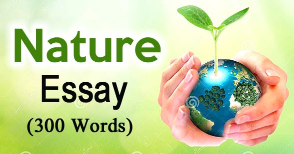 essay about loving nature