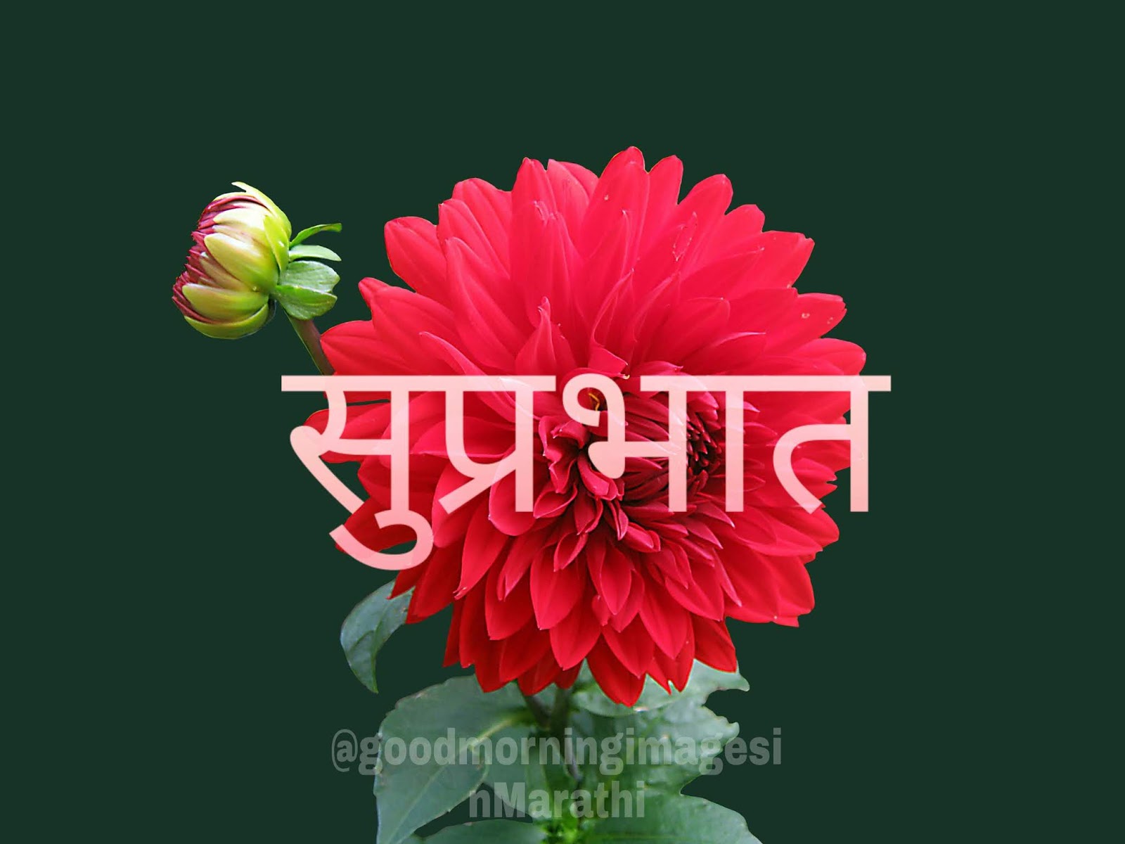 10+ Good Morning Images in Marathi Good morning images in Marathi for