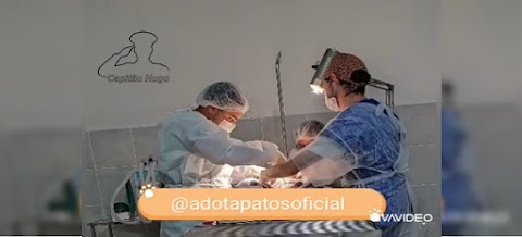 Projeto realizado: Sala de castração pronta para cirurgias em cães e gatos