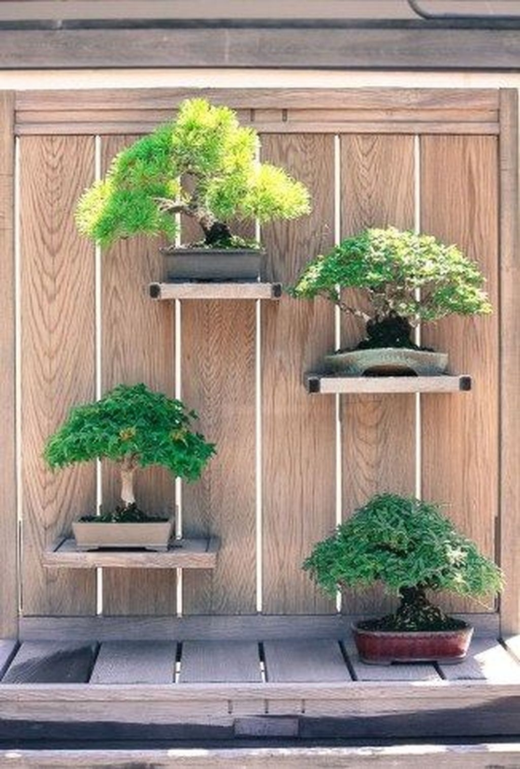 45+ Unique Bonsai Trees Gardening Ideas For Backyard ARA HOME