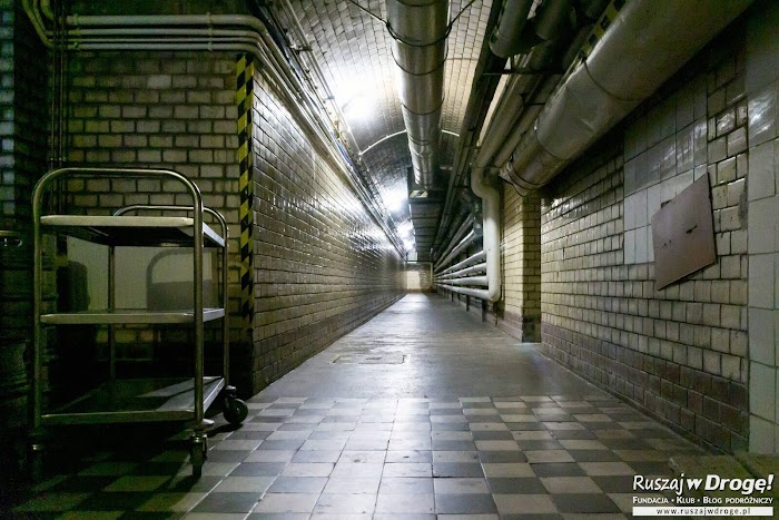 Piwnice i podziemne korytarze Zamku w Mosznej