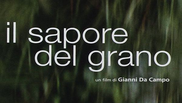 Il sapore del grano