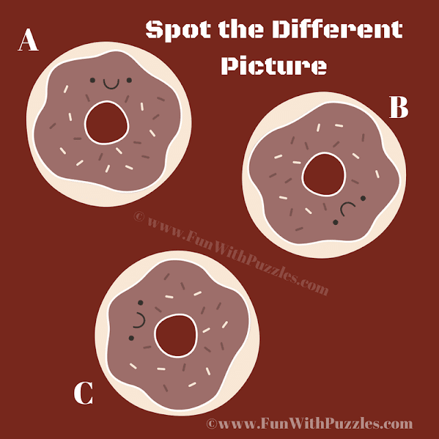 Odd One Out Picture Puzzle: Spot the Different Donut