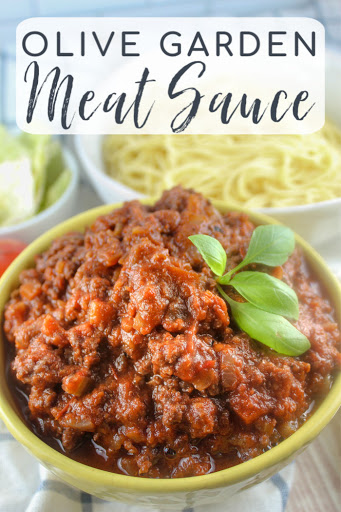 Copycat Olive Garden Meat Sauce | The Food Hussy!